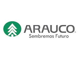 arauco