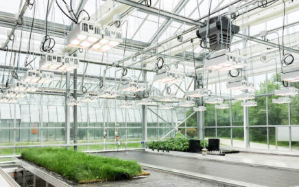 r-series-greenhouse